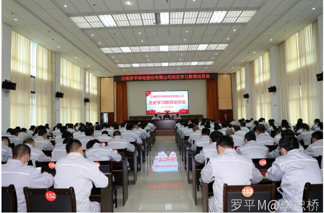 云南尊龙凯时股份有限公司召开党史学习教育动员会